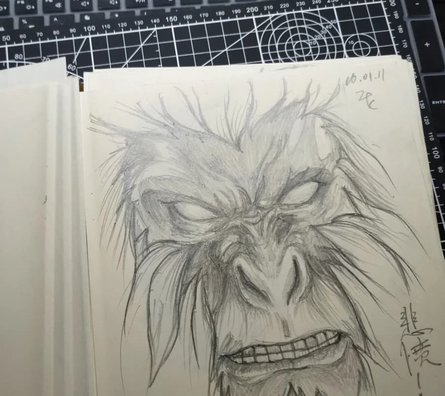 毛发角色头部速写