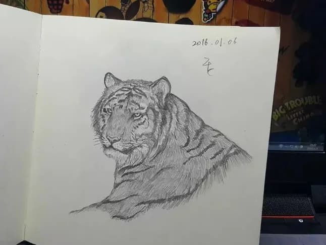 趴伏老虎的铅笔速写
