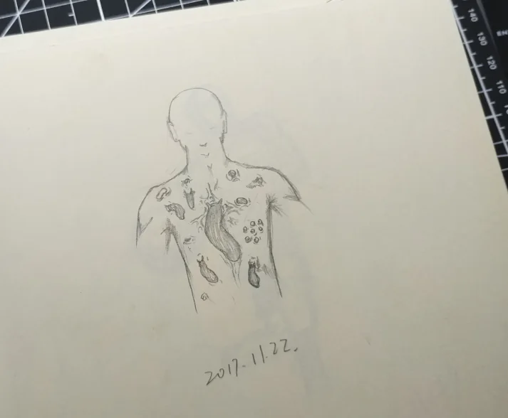 人体背部肌肉与标记练习