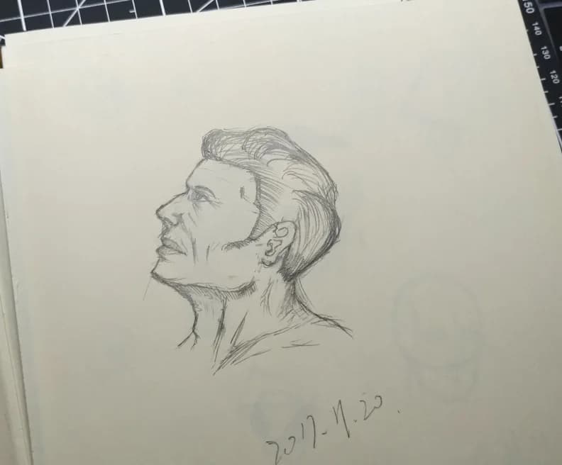 男性头部侧面的结构速写